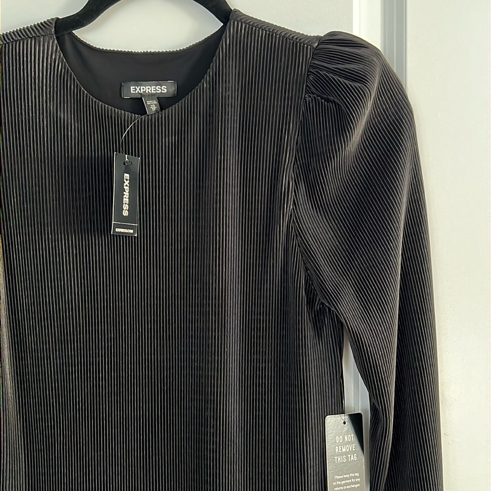 Express Long Sleeve dress
